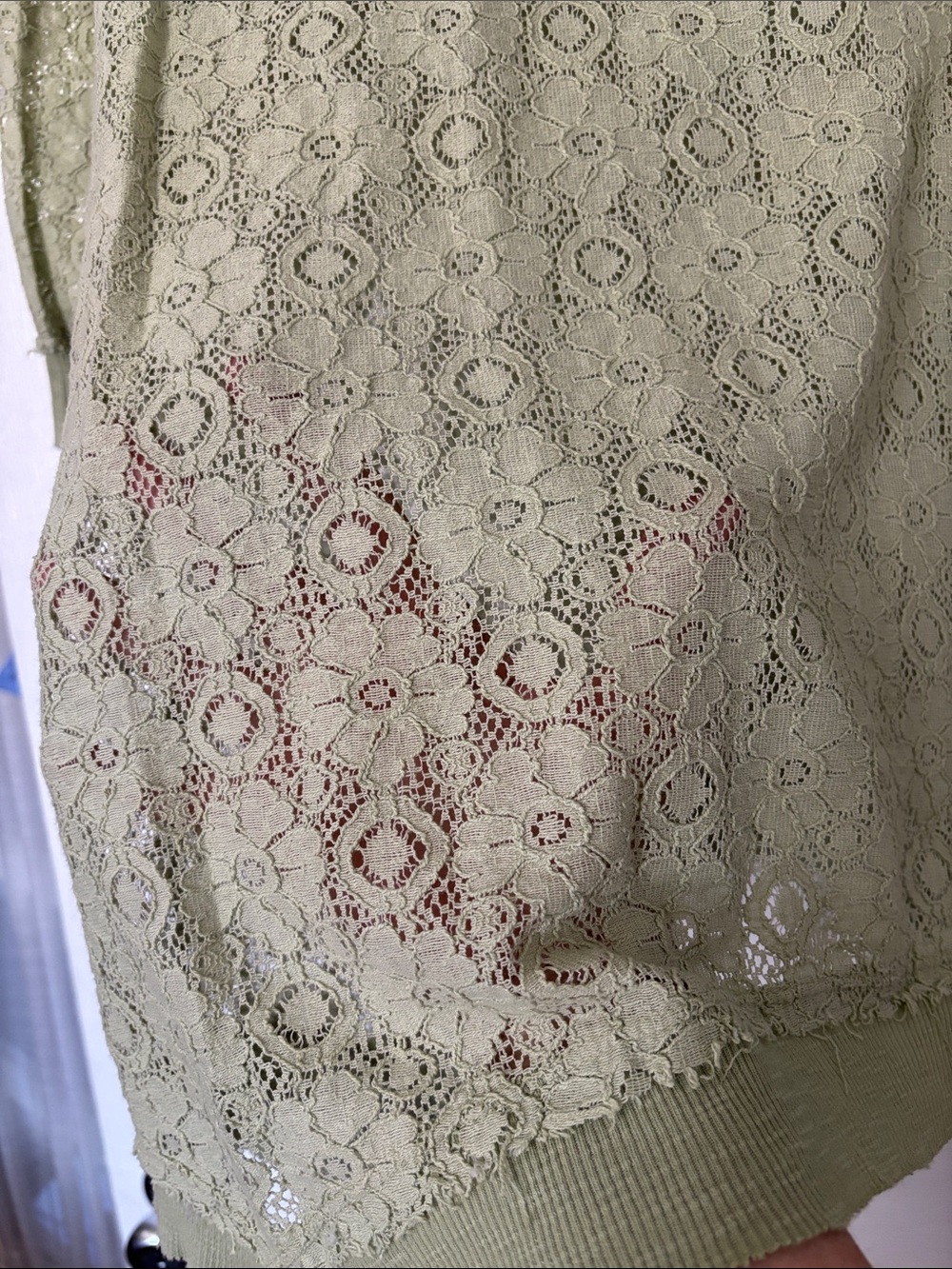 Lace-Overlay Top in Light Sage - Picture 5 of 6